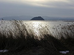 20060120kohoku (13).jpg